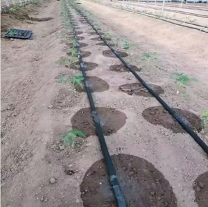 Sistema di Irrigazione a Goccia con Tubo Micro Pioggia a Prezzo di Fabbrica, Nastro Piatto in PE per Irrigazione Agricola - Product Image 2