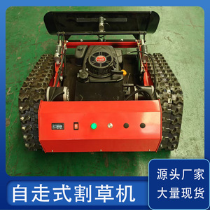 190CC - Product Image 4