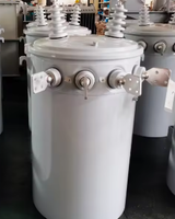 Transformador de Distribución Toroidal Sumergido en Aceite de Baja Pérdida de 25 kVA y 13.8 kV para Montaje en Poste, Suministro del Fabricante