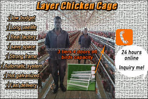 Cage <span class=keywords><strong>de</strong></span> volaille pour animaux <span class=keywords><strong>de</strong></span> ferme, comprend une Cage 2 m, un équipement horticole pour élevage des poules, une couche automatique, pour les vente, convient aux poules - Product Image 4