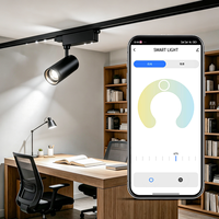 Profilé de rail de plafond tendu 16MM ultra-fin encastré pour lustre, rail LED pour éclairage d'exposition intérieur permanent
