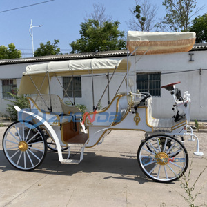 Prix d'usine, vente en gros : Carrosse de princesse électrique sans chevaux, modèle Cendrillon, pour la visite touristique, à vendre - Product Image 2