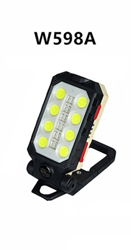 W598A