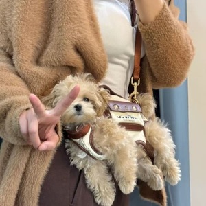 Luxuriöser Hunde- & Katzen-Schulter-/Handrucksack aus Kunststoff, tragbarer, leichter, atmungsaktiver Träger für kleine bis mittelgroße Haustiere - Product Image 2