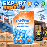 OEM 500ml, fabrication, vente directe, liquide de lavage à la mousse riche de haute qualité, détergent à lessive solide pour élimination des taches, liquide dans un sac