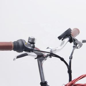 Bicicleta Clásica para Damas de 26 Pulgadas y 250w - Product Image 4