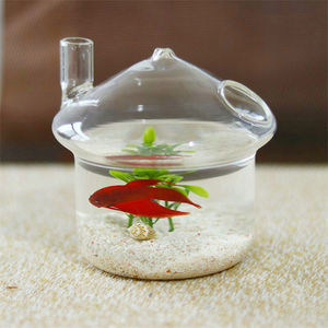 Fabrieksprijs Beste Verkoop Op Maat Gemaakte Creatieve Huisdecoratie Opknoping Glaswerk Kleine Vissenkom Plant Vaas - Product Image 3