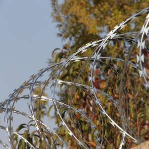 Alambre de Navaja Galvanizado de Acero Inoxidable, Costo de Fabricante, Diámetro de Bobina de <span class=keywords><strong>500</strong></span> <span class=keywords><strong>mm</strong></span>, Rollo de 10 m, Alambre de Navaja en Forma de Acordeón para Protección Perimetral - Product Image 1