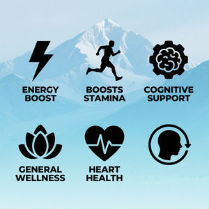 OEM Suplemento Herbal Shilajit Ashwagandha Gummies Inmune Support Relajación Stress Relieve Boost Energy Shilajit Gummies - Product Image 4