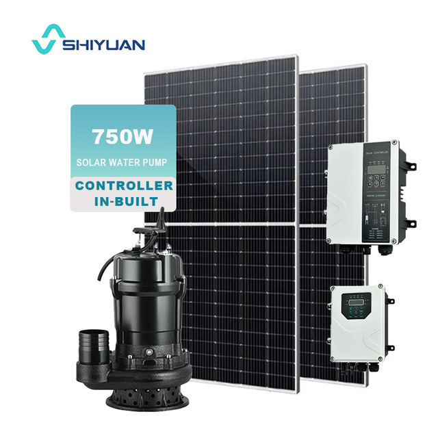 Multi-Purpose Quiet Operation 2 Inch 48V 0.75Kw Portable Submersible Pump Solar Water Pump for Garden