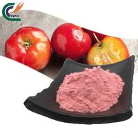 Hooggeconcentreerd vitamine C & polyfenolen wateroplosbaar poeder, antioxidant immuunversterker, rechtstreeks van de fabriek, 1kg bulkverpakking