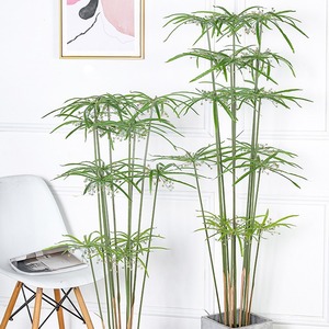 Plante artificielle en pot Cyperus Alternifolius en plastique <span class=keywords><strong>pour</strong></span> la décoration de bureau, de mariage et de la maison, plantes artificielles - Product Image 3