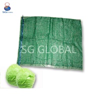 Geventileerde 5kg 10kg 25kg rode groene oranje groente- en fruitverpakkingsplastic zakken