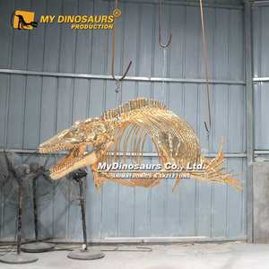 Mi Dinosaurio XJ176, Decoración de Escaparate, Esqueleto de Mosasaurio Dorado en Venta - Product Image 3