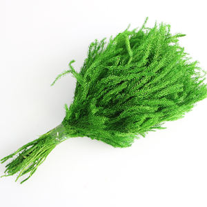 Bouquet de fleurs séchées en mousse du Yunnan <span class=keywords><strong>Club</strong></span> Décoration de maison de Noël rétro avec boîte-cadeau élégante - Product Image 2