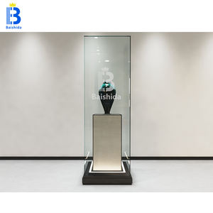 ארון תצוגת זכוכית עתיקה עם דלת אוטומטית לגלריה לאמנות ולמוזיאון תצוגת תצוגת תצוגת תצוגת - Product Image 2