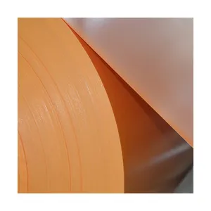 Tissu de bâche de vinyle 100% polyester enduit de PVC de bâche gonflable robuste imperméable ignifuge de Phipher pour le plancher