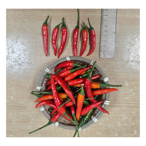 เครื่องดื่มอาหารสมุนไพรแบบเดี่ยวจัดส่งเร็วจากเวียดนาม - Product Image 3