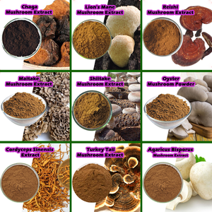 JHD Mushroom 30% 50% Polisacáridos <span class=keywords><strong>Coprinus</strong></span> Comatus Extracto en polvo - Product Image 3