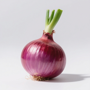 Tươi Màu Đỏ Hành Cao Chất Lượng Nông Nghiệp Sản Phẩm Tại Giá Rẻ Giá - Product Image 2