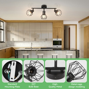 3 teste di ferro gabbia soffitto faretto luci a sospensione decorazione regolabile luci a parete per la casa <span class=keywords><strong>lampadario</strong></span>/luce a sospensione/faretto - Product Image 2