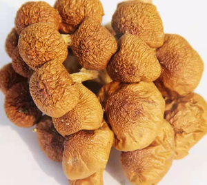 Funghi Nameko - Product Image 4
