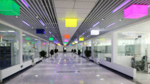 Hochwertiges <span class=keywords><strong>L</strong></span>-Ergothionein 99% EGT-Pulver Natürliches <span class=keywords><strong>L</strong></span>-Ergothionein-Pulver - Product Image 4