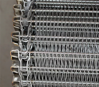 Banda Transportadora de Malla de Alambre en Espiral Ajustable de Acero Inoxidable 304 de Grado Alimenticio