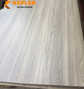 Foglio laminato ad alta pressione ignifugo impermeabile melaminico fenolico rein <span class=keywords><strong>Formica</strong></span> HPL per mobili porta armadio decorativo - Product Image 3