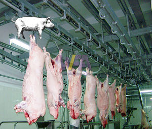 Komple mezbaha günde 50-100 domuz domuz abattoir makinesi otomatik domuz kasap ekipmanları et işleme makineleri için - Product Image 1