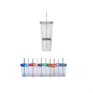 2027 Plastic <b>Straw</b> Cartoon Double-Walled Insulated Clear <b>Water</b> <b>Cup</b> for Summer - Product Image 1