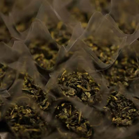Thé Oolong Tieguanyin Arôme Intense Torréfié au Charbon 8,3g Sachet Individuel Thé TiKuanYin Oolong pour Infusion Froide et Chaude