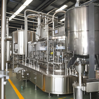 Sap Verwerking Klant Capaciteit Palm Dadelsiroop Productielijn