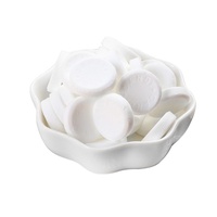 HALAL gecertificeerde CandyCandy zoete zeezout mango smaak frisse adem munt harde snoepjes