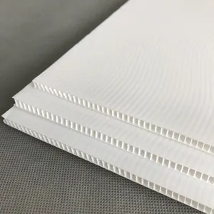 Carton ondulé en plastique polypropylène Correx personnalisable imprimable