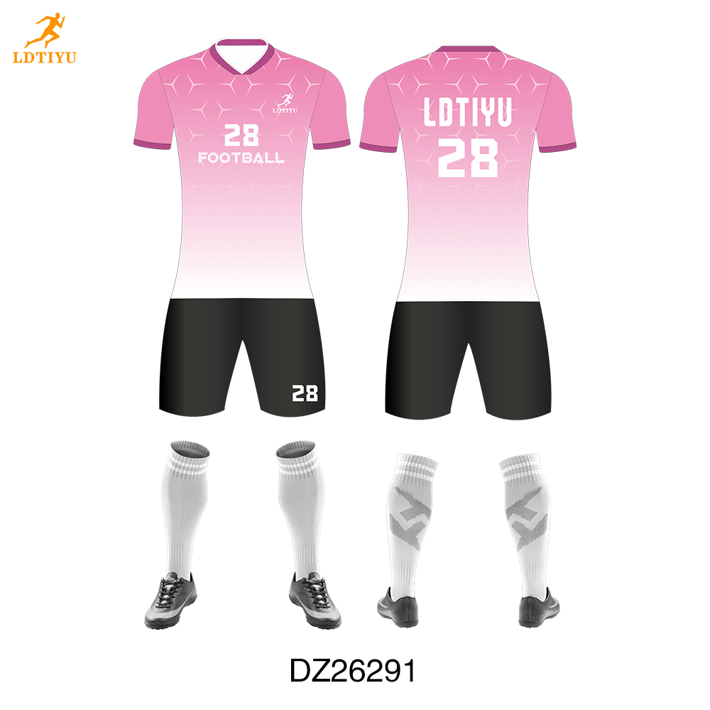 DZ26291