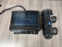 High Quality 20g/h Smarter Salt Chlorinator for Swimming Pools Manufacture Pool Filters Disinfection System