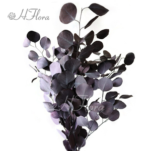 HFloral Wholesale Custom Natural Decorative Dried Bouquet <strong>Press</strong> the Leaves Preserved <strong>Flower</strong> Apple Leaf Eucalyptus - Product Image 6