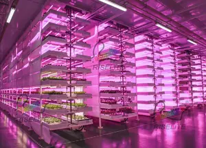 Hydro ponic Greenhouse Indoor Plant Vertikale Anbaus ysteme Hydro ponic Aeroponic Planting System