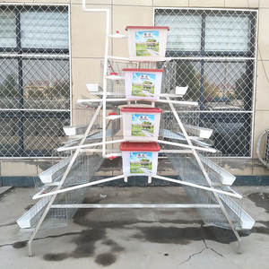 Hop satış tavuk pil 500 tavuklar katman döşeme yumurta yetiştiriciliği pil kanatlı çiftlik tavuk kafesi ev kullanımı için - Product Image 1