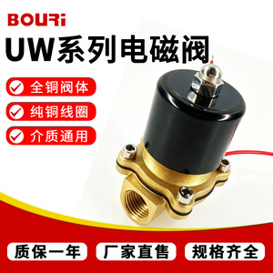 โซลินอยด์วาล์ว Bouri ขนาด 1/2 นิ้ว AC220V DC24V วาล์วควบคุมน้ำและแก๊สแบบสองตำแหน่ง พร้อมเกลียวเชื่อมต่อ - Product Image 4