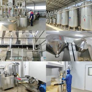 Extracto de Hoja de <span class=keywords><strong>Banaba</strong></span> de Grado Alimenticio en Polvo con 1% de Ácido Corosólico, Certificado por <span class=keywords><strong>HPLC</strong></span>, Envase de Plástico y Tambor, Almacén en EE. UU./UE - Product Image 4