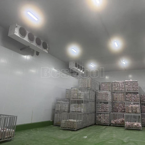 Phòng lạnh lưu trữ hệ thống làm mát Tủ đông đơn vị đi bộ trong mát cho trái cây và hoa tủ lạnh - Product Image 4