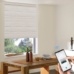 Thông minh Wifi cơ giới cửa sổ con lăn mù điện hiện đại Rèm cho rèm cửa sổ với từ xa - Product Image 2