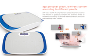 Professionnel Ultra Mince Date Vibro Power Board Vibration Plate Fit Massage
