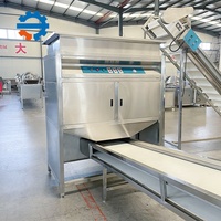 Machines automatiques de traitement de l'ail DY, ligne de production de poudre d'ail, équipement de fabrication de poudre d'ail 300-4000 kg/h