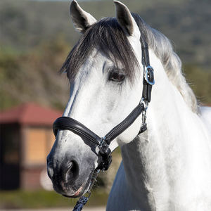 Harnais réglable léger et respirant en corde pour chevaux d'équitation - Harnais en cuir professionnel de haute qualité - Product Image 3