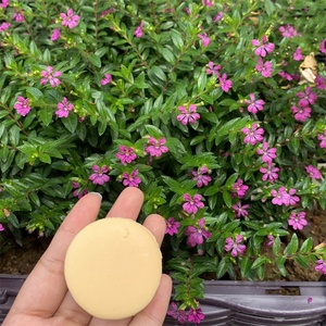 Modelo de Comida de Simulación Súper Realista, Macaron con Crema Crujiente, de Plástico, para Decoración de Mesa de Postres en Fiestas y Bodas - Product Image 4