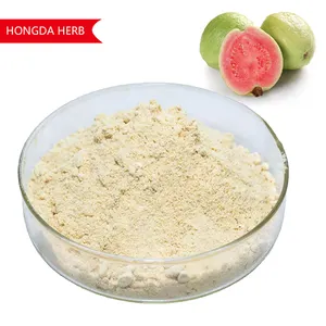 Wholesale Guava Freeze Dried Powder Best Guava Juice Powder Pure Guava Powder