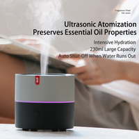 Diffuseur ultrasonique rechargeable USB décoratif pour la maison avec éclairage LED, aromathérapie et humidificateur pour le yoga et la maison, garantie 1 an